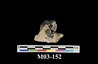 藏品(鈮鉭鐵礦)的圖片